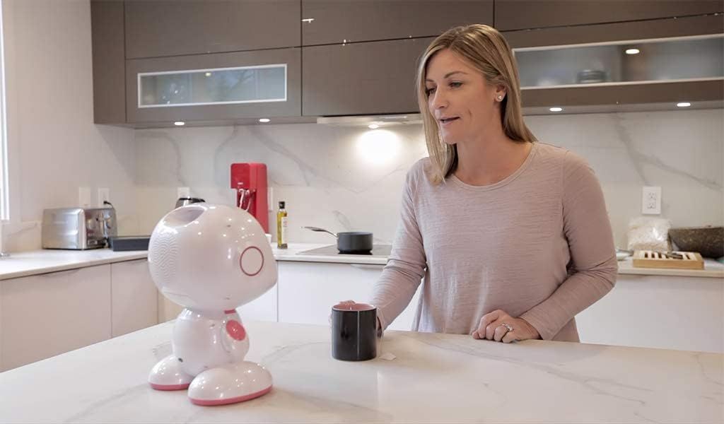 Misa Social Robot - Next-Generation Multi-Function Family Robot